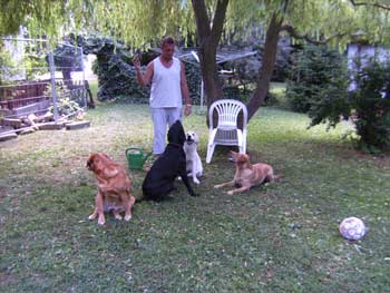 Mein Mann mit den Pensionshunden Inka, Orla und Aslan. Unsere Golden Retriever Hündin Dolli darf natürlich nicht fehlen.